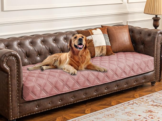 Beds & Furniture