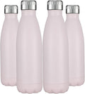 HASLE OUTFITTERS 17oz Stainless Steel Water Bottles Bulk, Vacuum Insulated by HASLEOUTFITTERS