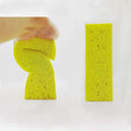 Large Natural Cellulose Cleaning Sponges – Biodegradable, Car & Home by Greenet