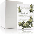 Scented Sachet for Drawers and Closets by Feel+Fragrance