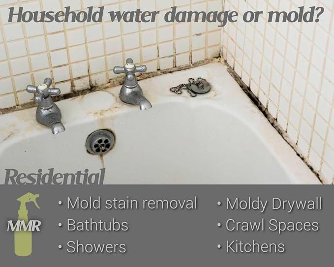 Bad Axe MMR Instant Mold Stain and Mildew Stain Remover - Image 3