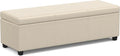 SIMPLIHOME Avalon 54 inch Wide Contemporary Rectangle Extra Large Storage by SimpliHome