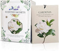 Gardenia Scented Sachet Bags by Unknown