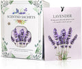Lavender Scented Sachet Bags by Unknown