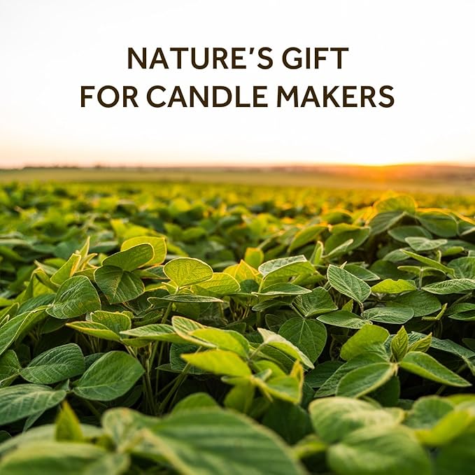 NORVENCE Soy Wax for Candle Making, Natural Soy Wax Flakes 40lb, Premium Candle - Image 2