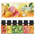 Citrus Essential Oils Set, Fragrance Oil Set by SoulOrigin