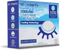 Queen Size Waterproof Cooling Mattress Protector by Slumberfy by Slumberfy