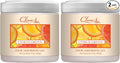 Clear Air Odor Absorber Gel - 15 oz by ClearAir