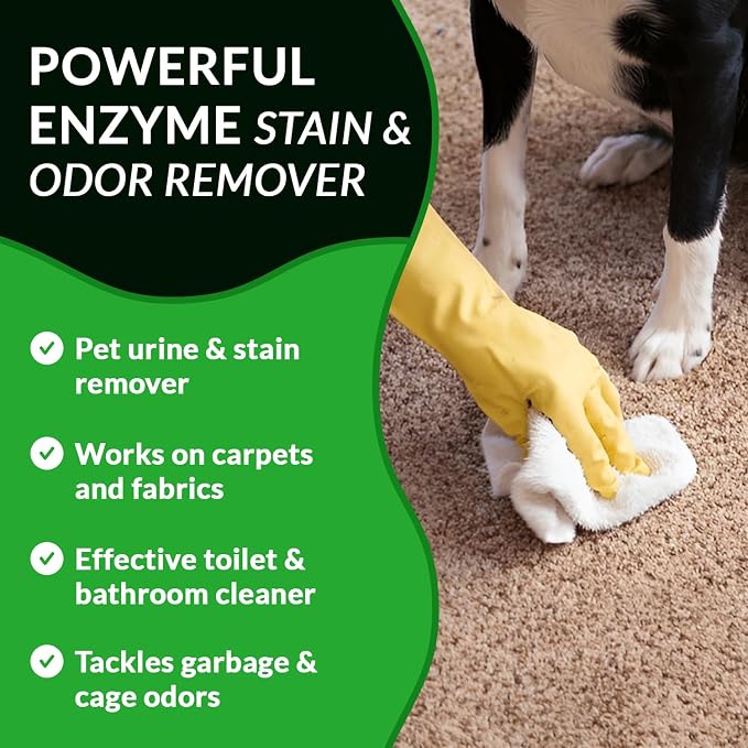 Strong Stain & Odor Eliminator - Image 5