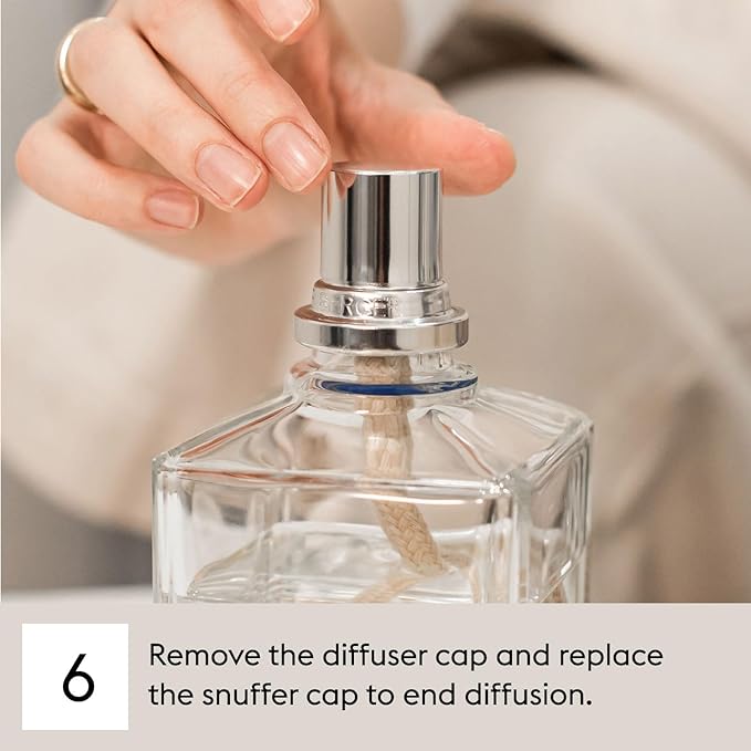 MAISON BERGER - Heavenly Spruce - Lampe Berger Fragrance Refill - Image 8