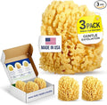 Baby Buddy Baby Bath 4in Yellow Sea Sponge, Absorbent Natural Sea Sponge by BabyBuddy
