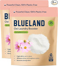 BLUELAND Oxi Laundry Booster Powder Refill 2-Pack, Spring Bloom Scent, 50 Loads by BLUELAND