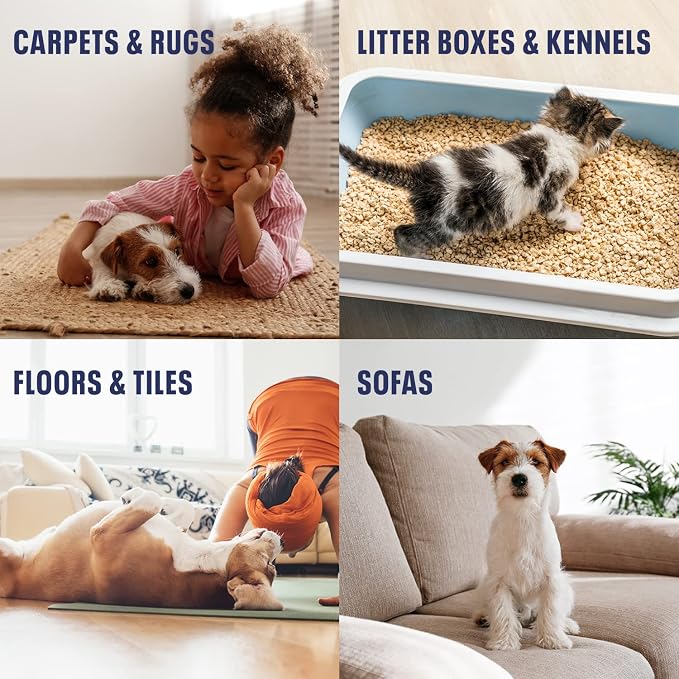 Bioesque Advanced Stain + Odor Remover, Pet-Friendly Natural Enzymatic & - Image 4