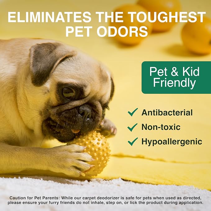Good Natured Brand | Carpet Deodorizer & Freshener Powder | 31 oz Pet Odor - Image 3