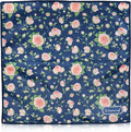 WESERWEF Design Microfiber Glasses Cleaning Cloth – Premium Cleaning Cloth by WESERWEF%C2%AE